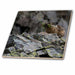 image of 8 Inch Glass Tile