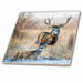 image of 12 Inch Ceramic Tile