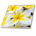 image of 6 Inch Ceramic Tile