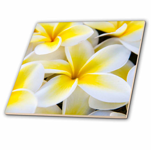 image of 4 Inch Ceramic Tile