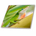 image of 4 Inch Glass Tile