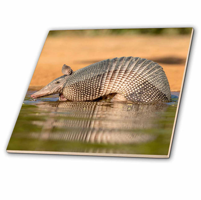 image of 8 Inch Glass Tile