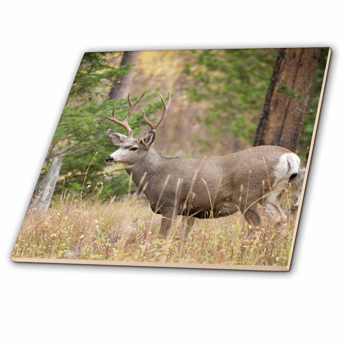 image of 12 Inch Glass Tile