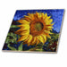 image of 8 Inch Ceramic Tile