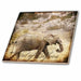 image of 6 Inch Glass Tile