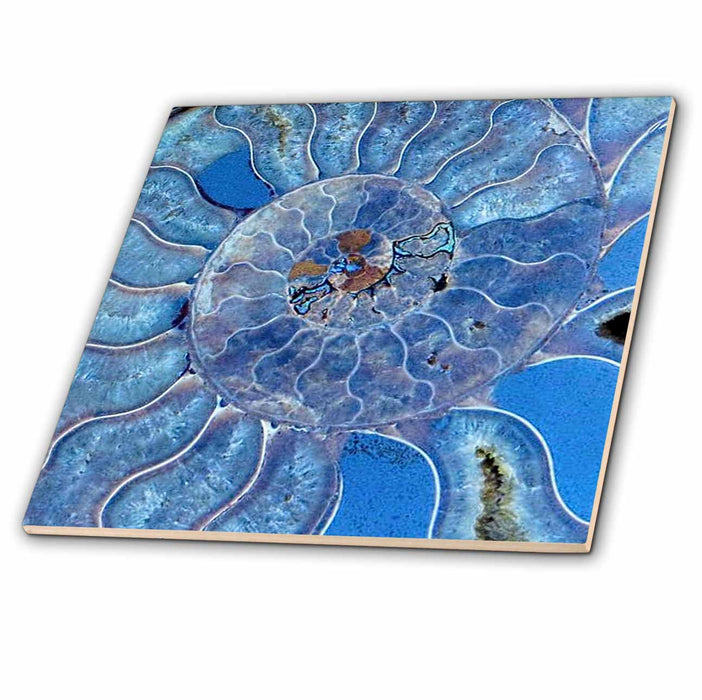 image of 12 Inch Ceramic Tile