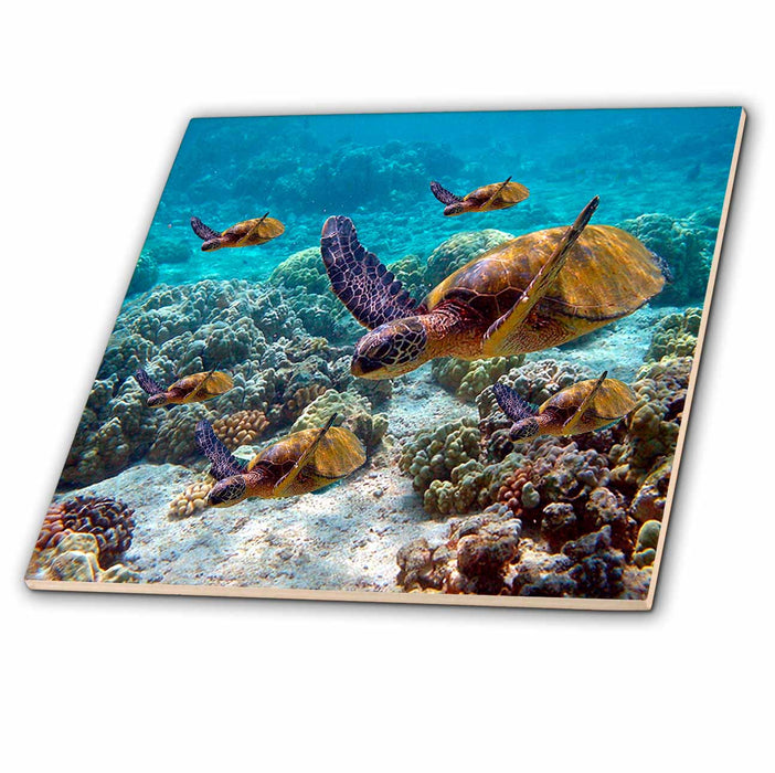 image of 8 Inch Ceramic Tile