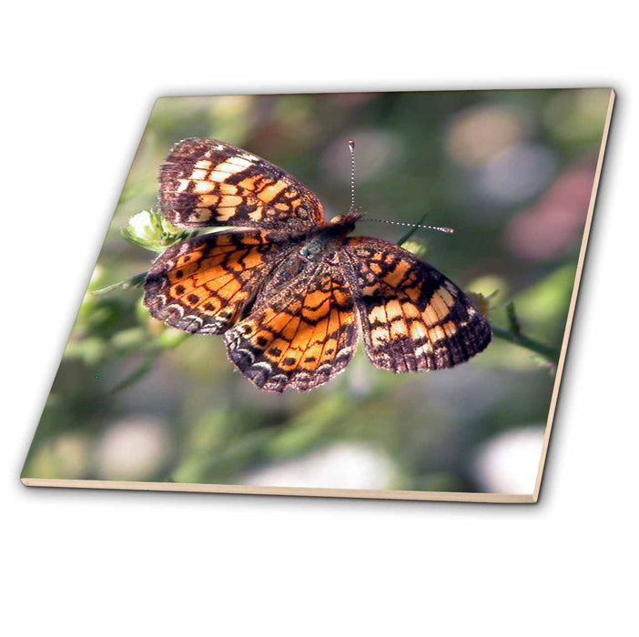 image of 8 Inch Glass Tile