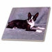 image of 4 Inch Ceramic Tile