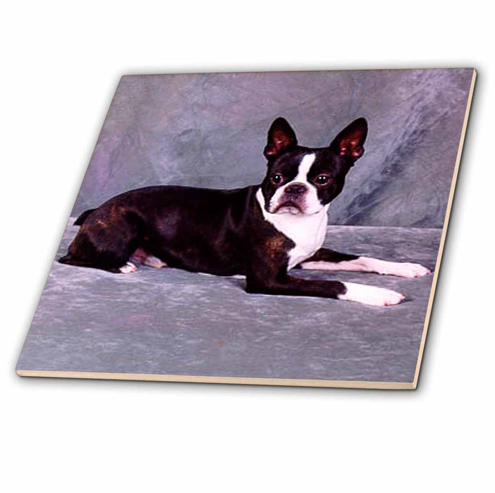 image of 8 Inch Ceramic Tile