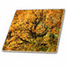 image of 8 Inch Ceramic Tile