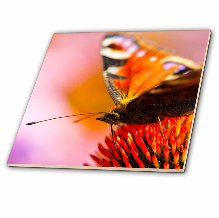 image of 8 Inch Ceramic Tile