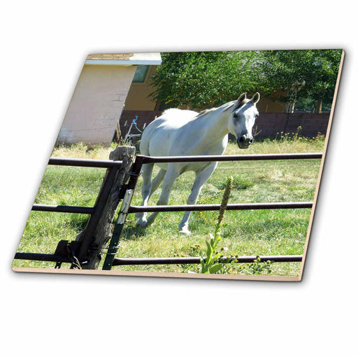 image of 4 Inch Ceramic Tile