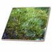 image of 4 Inch Ceramic Tile