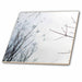 image of 12 Inch Glass Tile