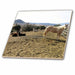 image of 4 Inch Glass Tile