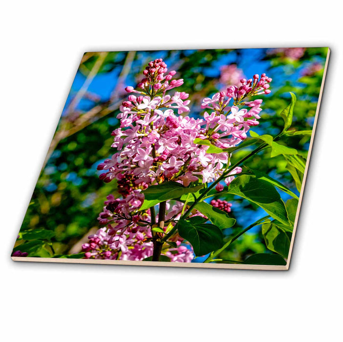 image of 8 Inch Glass Tile