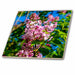 image of 8 Inch Ceramic Tile