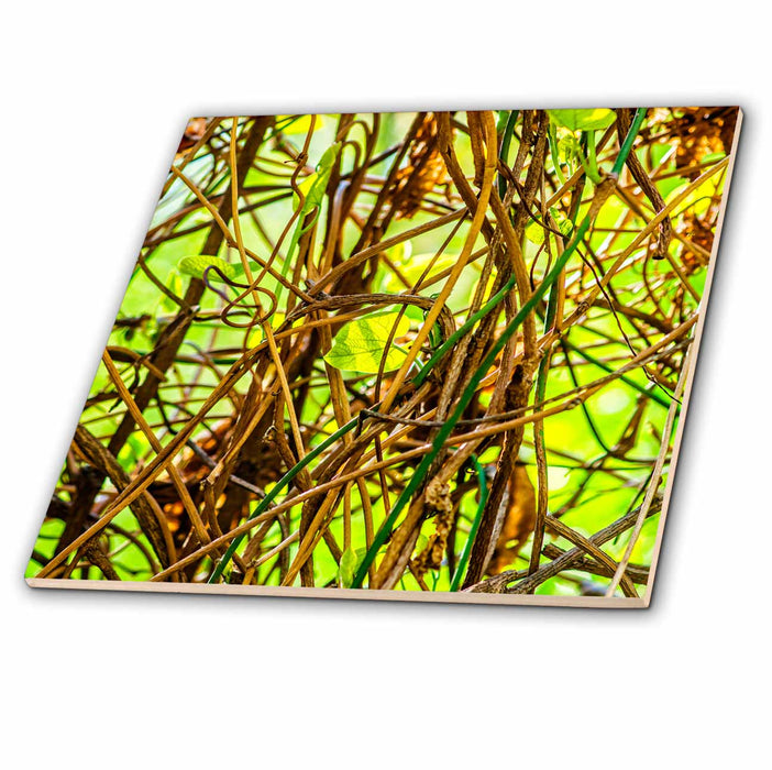 image of 8 Inch Glass Tile