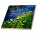 image of 8 Inch Ceramic Tile