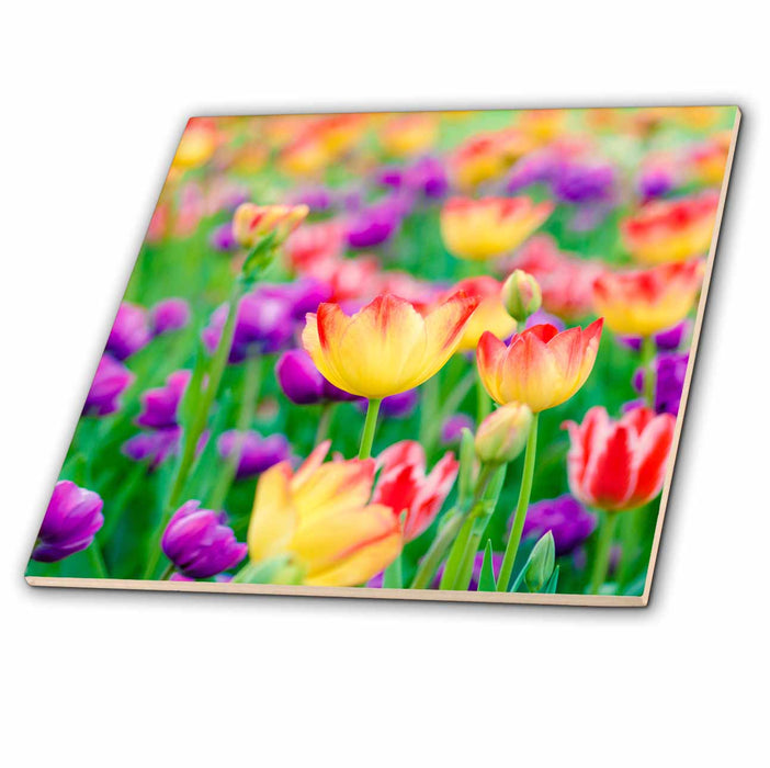 image of 8 Inch Ceramic Tile