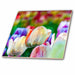 image of 8 Inch Glass Tile