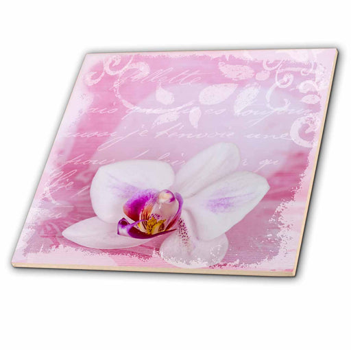 image of 4 Inch Ceramic Tile