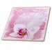 image of 8 Inch Ceramic Tile