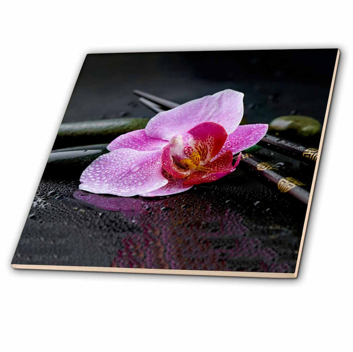 image of 8 Inch Ceramic Tile