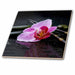 image of 8 Inch Glass Tile