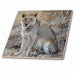 image of 12 Inch Glass Tile