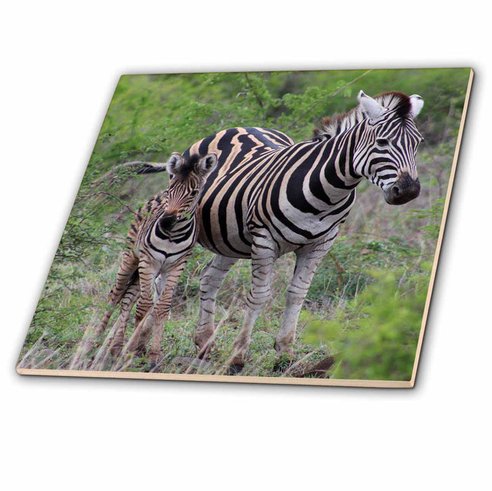 image of 8 Inch Ceramic Tile