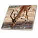 image of 4 Inch Ceramic Tile