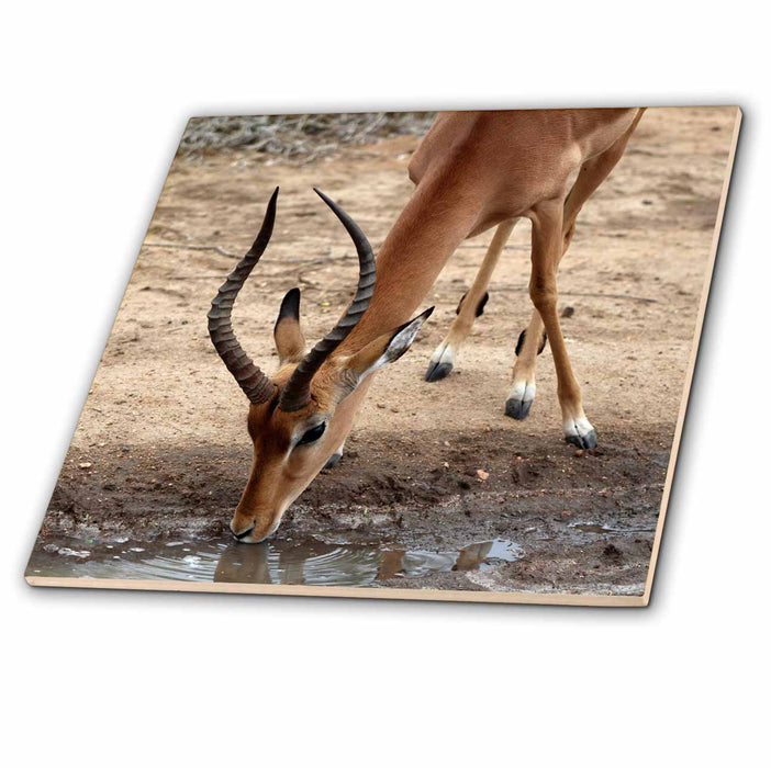 image of 12 Inch Glass Tile