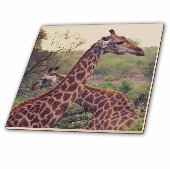 image of 8 Inch Ceramic Tile