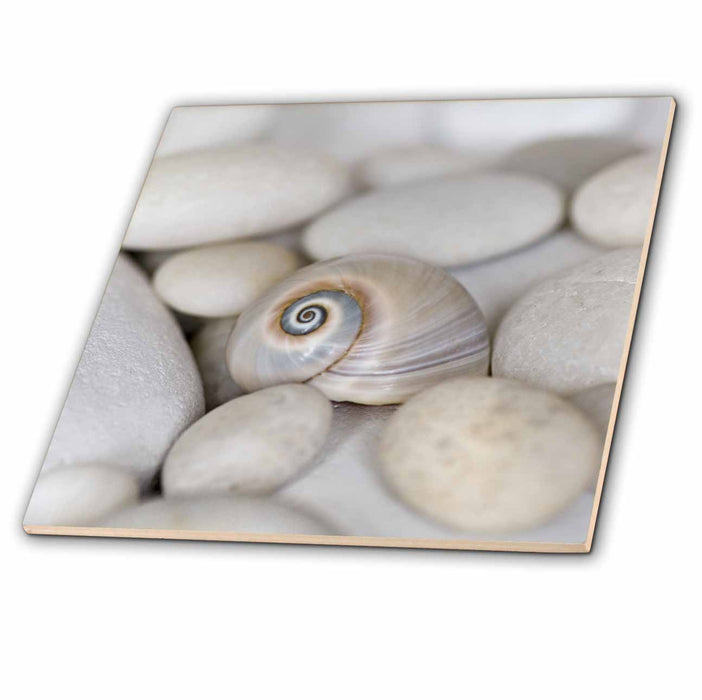 image of 12 Inch Ceramic Tile