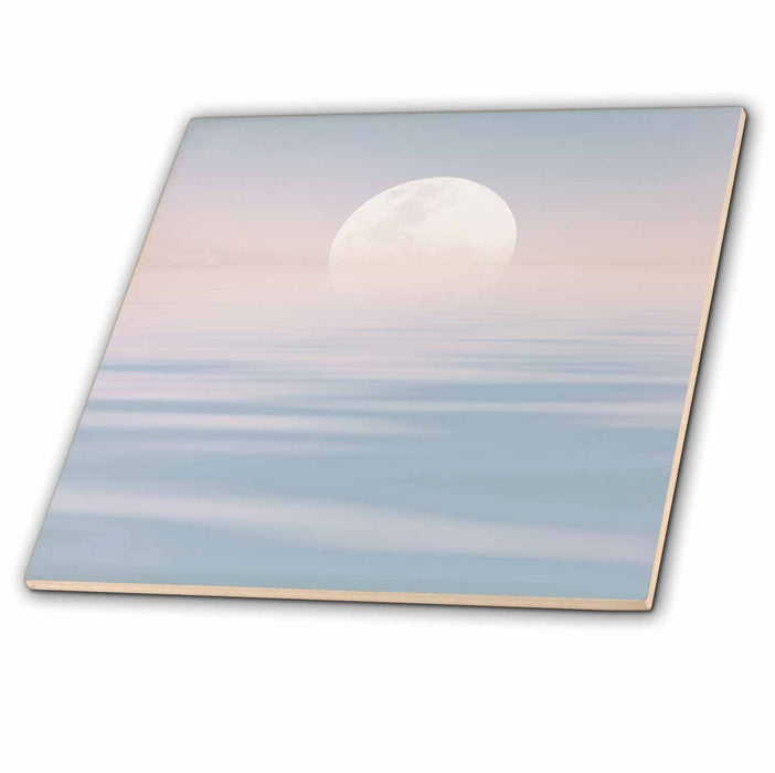 image of 6 Inch Ceramic Tile