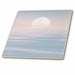 image of 8 Inch Ceramic Tile