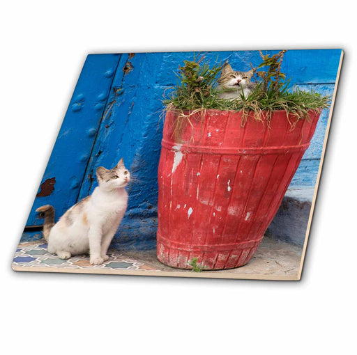 image of 4 Inch Ceramic Tile