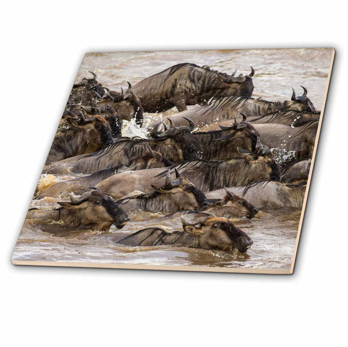 image of 8 Inch Ceramic Tile