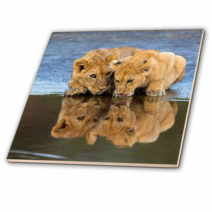 image of 4 Inch Glass Tile