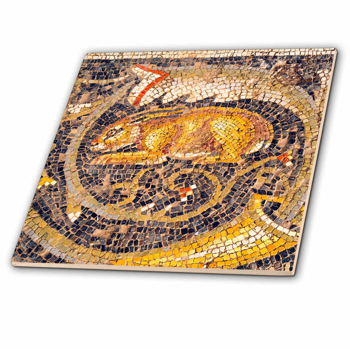 image of 12 Inch Ceramic Tile