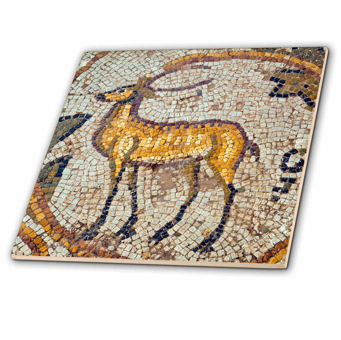 image of 8 Inch Ceramic Tile