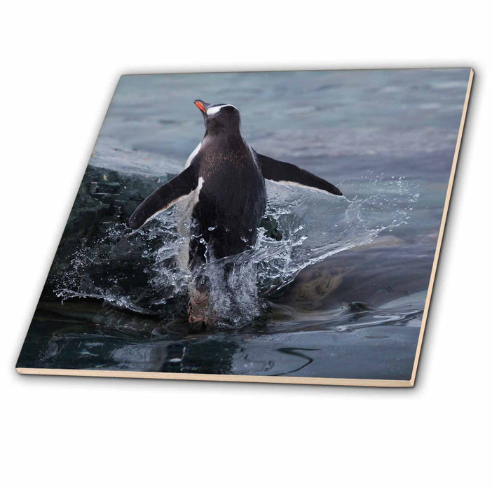 image of 12 Inch Ceramic Tile