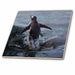 image of 8 Inch Ceramic Tile