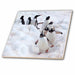 image of 12 Inch Ceramic Tile