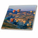 image of 4 Inch Ceramic Tile