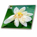 image of 6 Inch Glass Tile