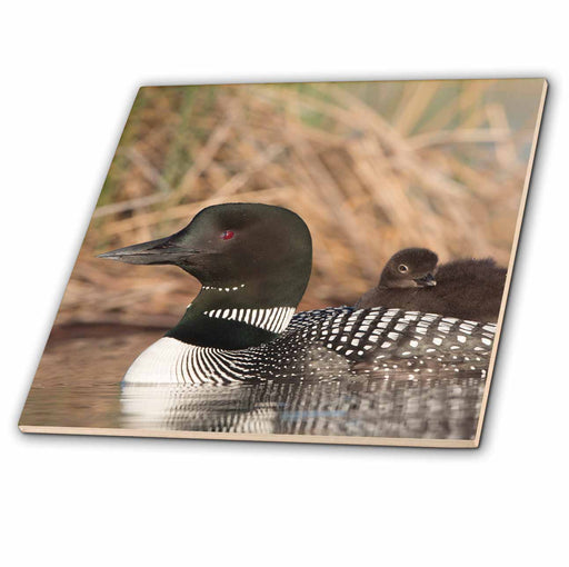 image of 4 Inch Ceramic Tile