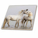 image of 12 Inch Ceramic Tile